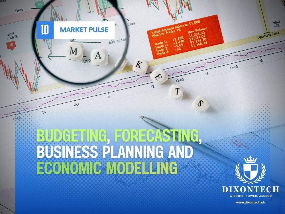 Budgeting, Forecasting, Business Planning and Economic Modelling